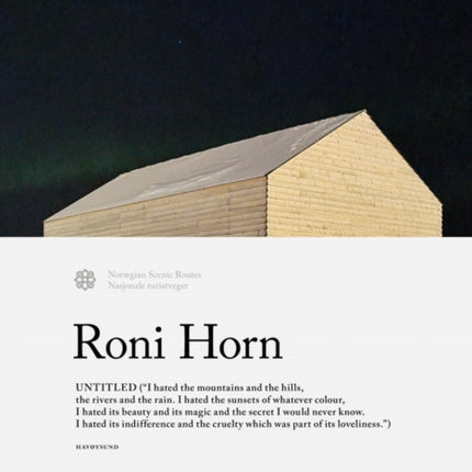 Roni Horn Untitled