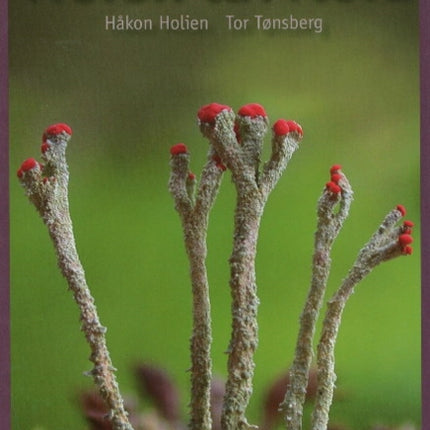 Norsk lavflora: 2nd Edition