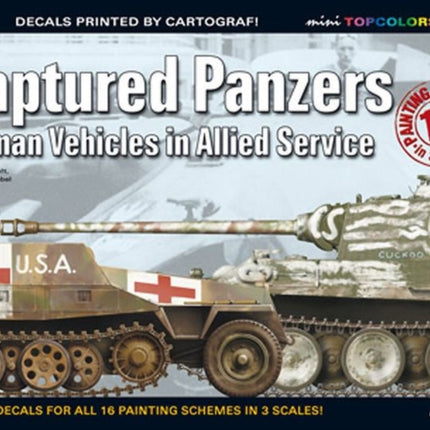 Captured Panzers