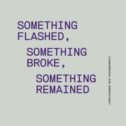 Something Flashed, Something Broke, Something Re – Consciousness Neue Bieriemiennost