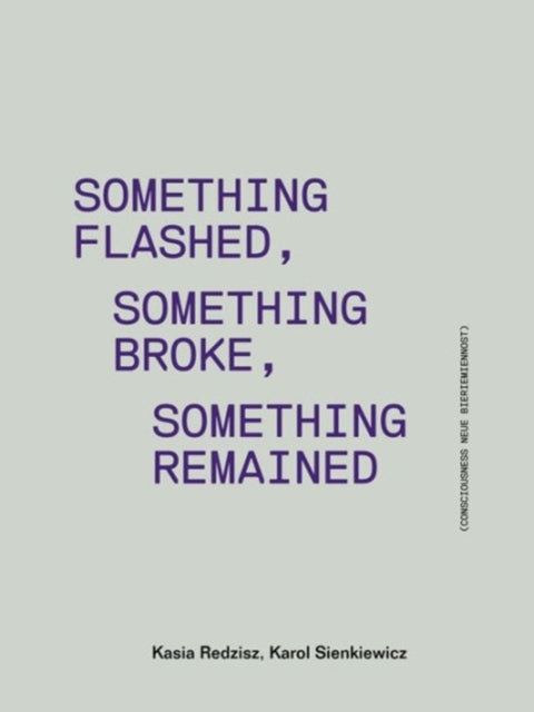 Something Flashed, Something Broke, Something Re – Consciousness Neue Bieriemiennost