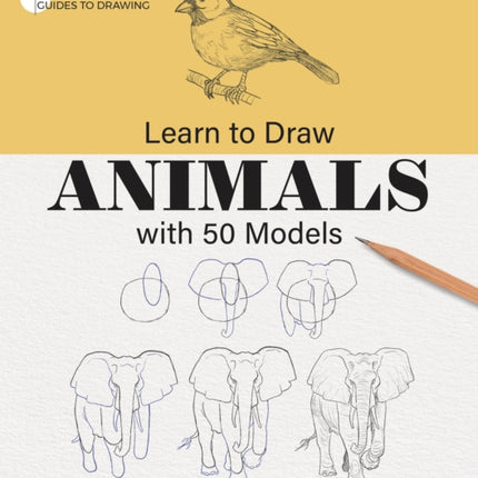 Learn to Draw Animals with 50 Models