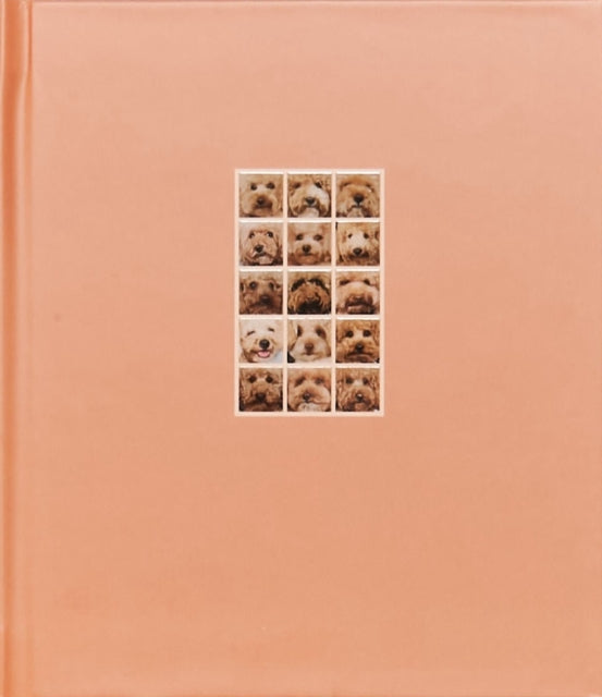 APRICOT POODLE