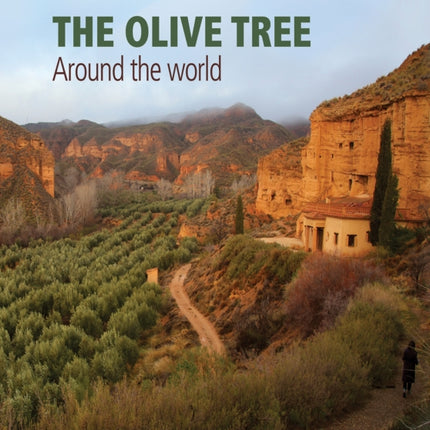 The Olive Tree