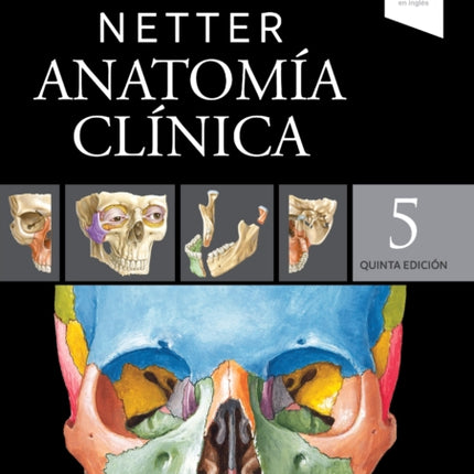 Netter. Anatomía Clínica