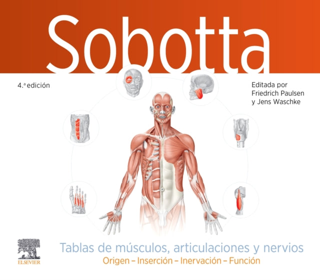 Sobotta. Tablas de músculos articulaciones y nervios