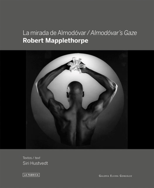 Robert Mapplethorpe Almodóvars Gaze