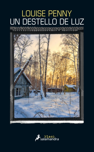 Un destello de luz / How the Light Gets In