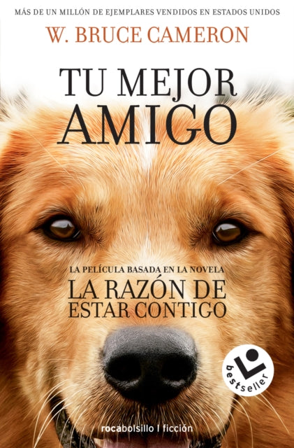 La razón de estar contigo / A Dog's Purpose