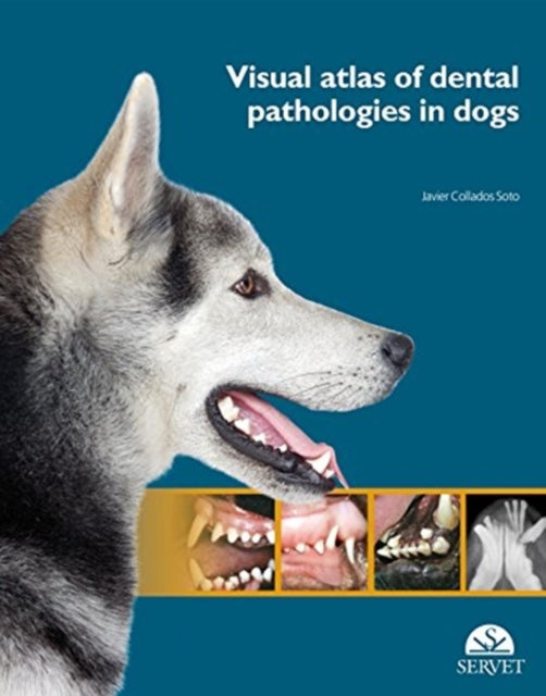 Visual Atlas of Dental Pathologies in Dogs