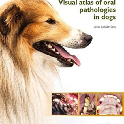 Visual Atlas of Oral Pathologies in Dogs