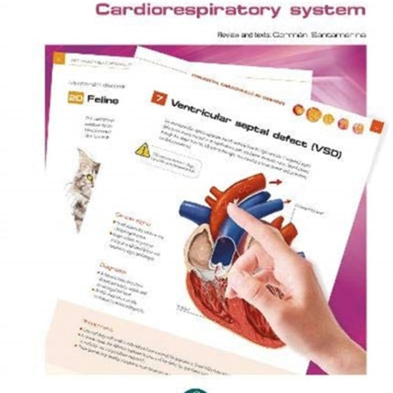 Pet Owner Educational Atlas. Cardiorespiratory System