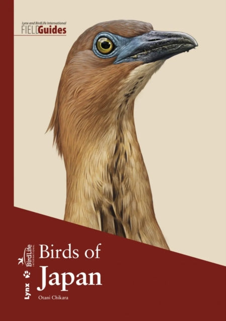 Chikara O Birds of Japan