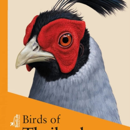 Birds of Thailand