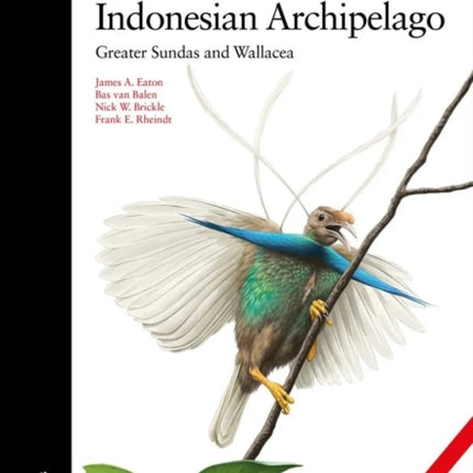Birds of the Indonesian Archipelago  Greater