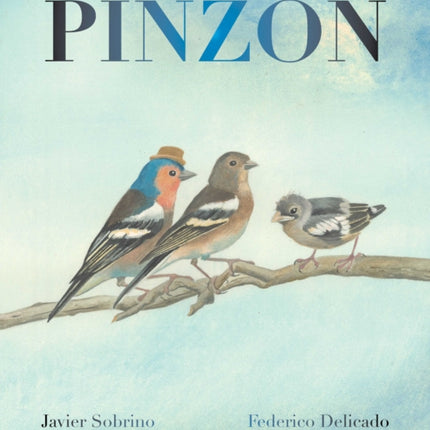 Pinzón (Finch)