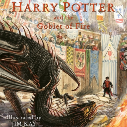 catharry potter i el calze de focnarrativa