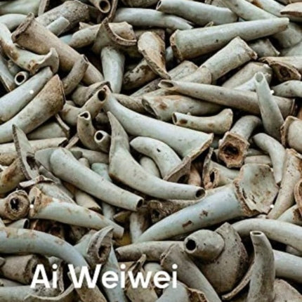 Ai Weiwei: Resetting Memories