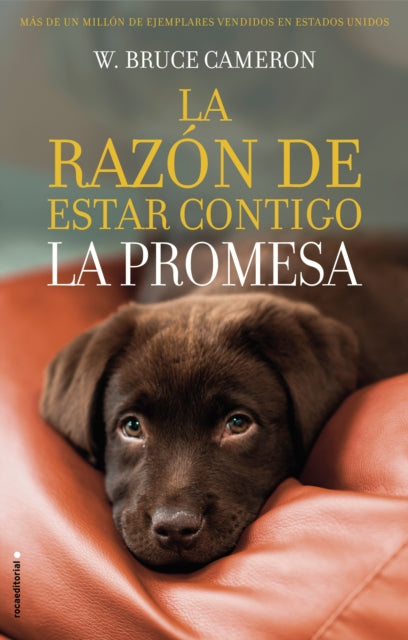 La razón de estar contigo. La Promesa / A Dog's Promise