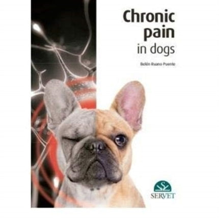 Chronic Pain in Dogs