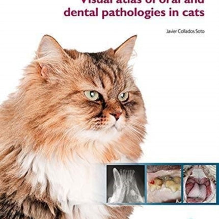 Visual Atlas of Oral and Dental Pathologies in Cats