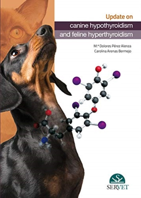 Update about Canine Hypothyroidism and Feline Hyperthyroidism