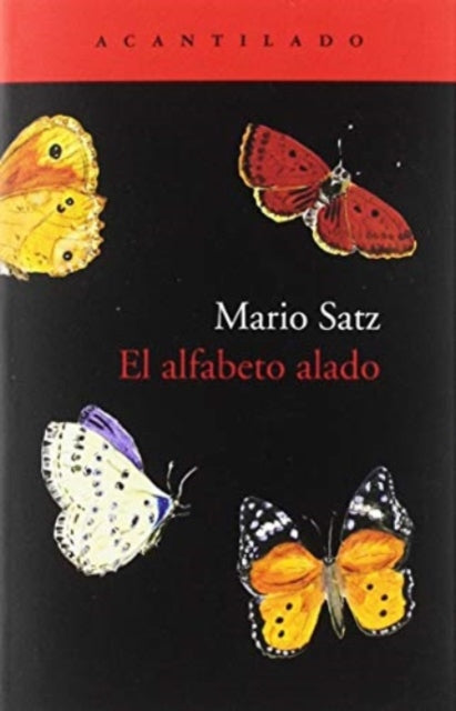 El alfabeto alado Cuadernos Spanish Edition