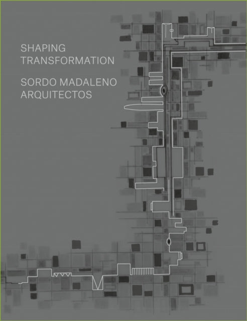 Sordo Madaleno: Urban transformation