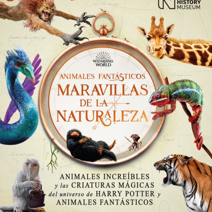 Animales fantásticos maravillas de la naturaleza / Fantastic Animals, Wonders of  Nature