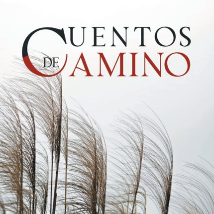 Cuentos de camino