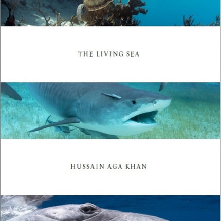 Living Sea: Hussain Agha Khan
