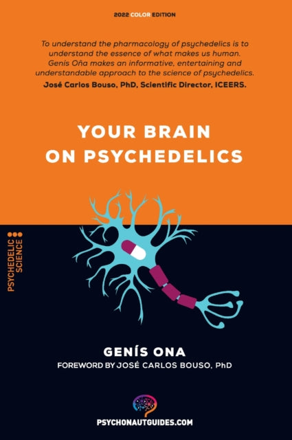 Your brain on psychedelics: How do psychedelics
