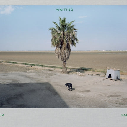 Txema Salvans: The Waiting Game III