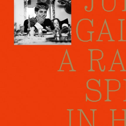 A Rabbit Split In Half: Julio Galan