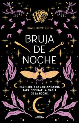 Bruja de noche Hechizos y encantamientos para dominar la magia de la noche  Ni ght Witch Spells and Enchantments