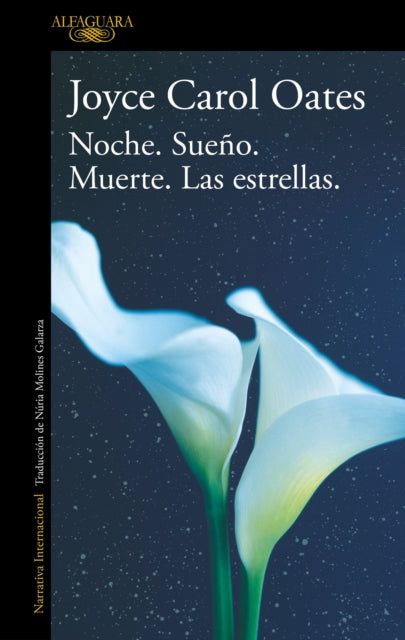 Noche. Sueño. Muerte. Las estrellas. / Night. Sleep. Death. The Stars