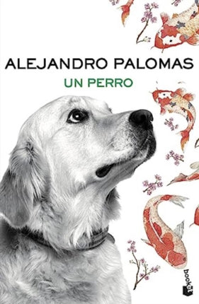 Palomas A Perro