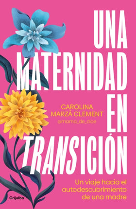 Una maternidad en transición  Maternity in Transition