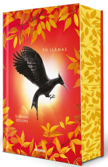 En llamas Edición especial  Catching Fire Special Edition