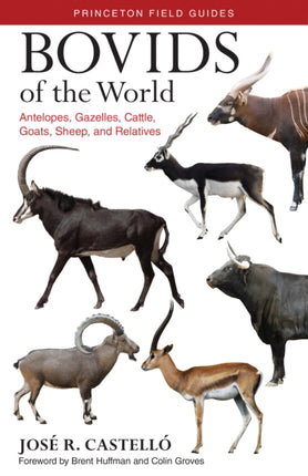 Bovids of the World Antlopes gazelas toros cabras