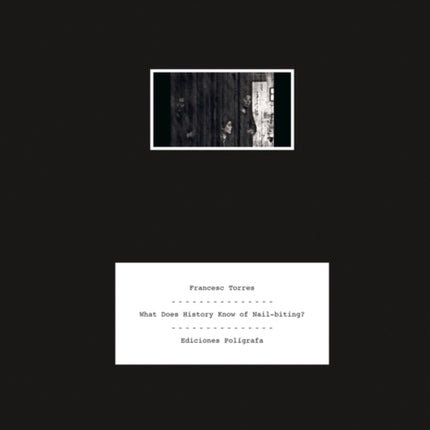 Francesc Torres What Does History Know of