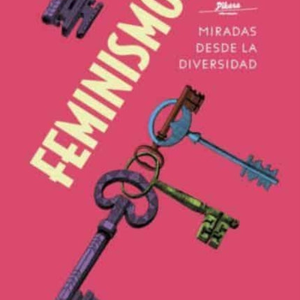 Feminismos Miradas desde la diversidad