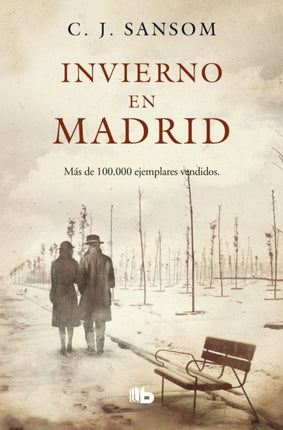 Invierno en Madrid / Winter in Madrid