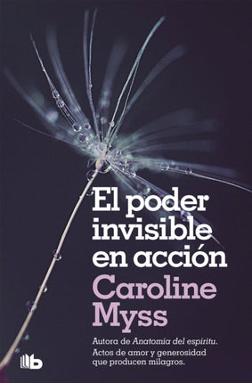 El poder invisible en acción  Invisible Acts Of Power The Divine Energy Of A Giving Heart