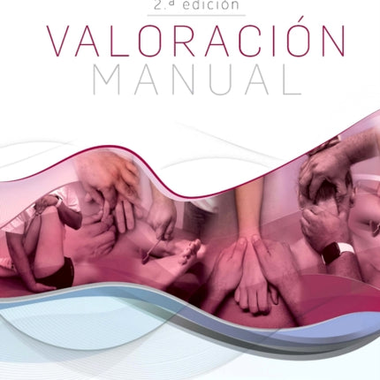 Valoracion manual