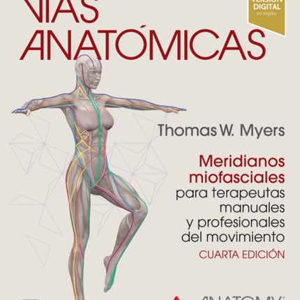 Vias anatomicas meridianos miofasciales