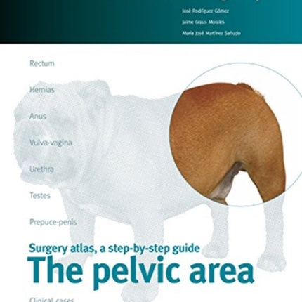 The pelvicaArea. Small animal surgery