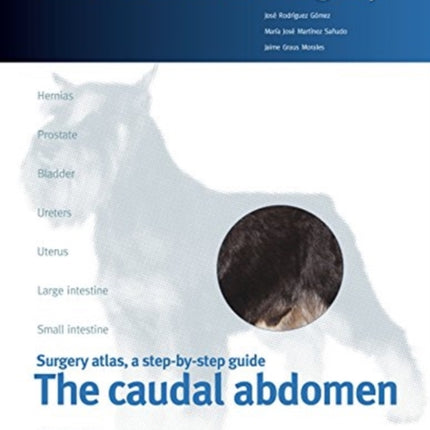 The caudal abdomen. Small animal surgery