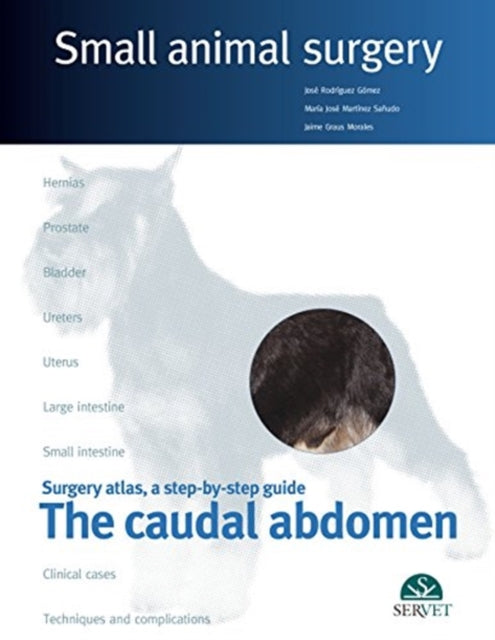 The caudal abdomen. Small animal surgery