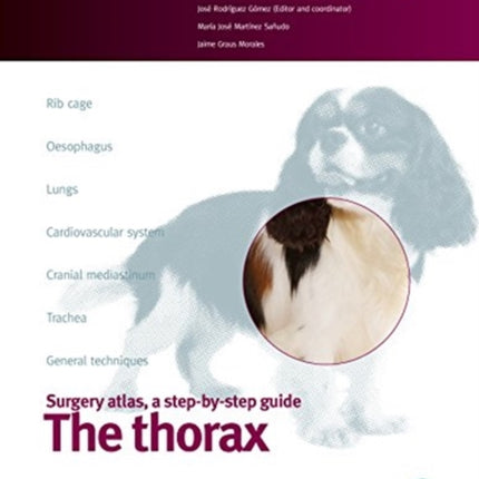 The thorax, Small animal surgery